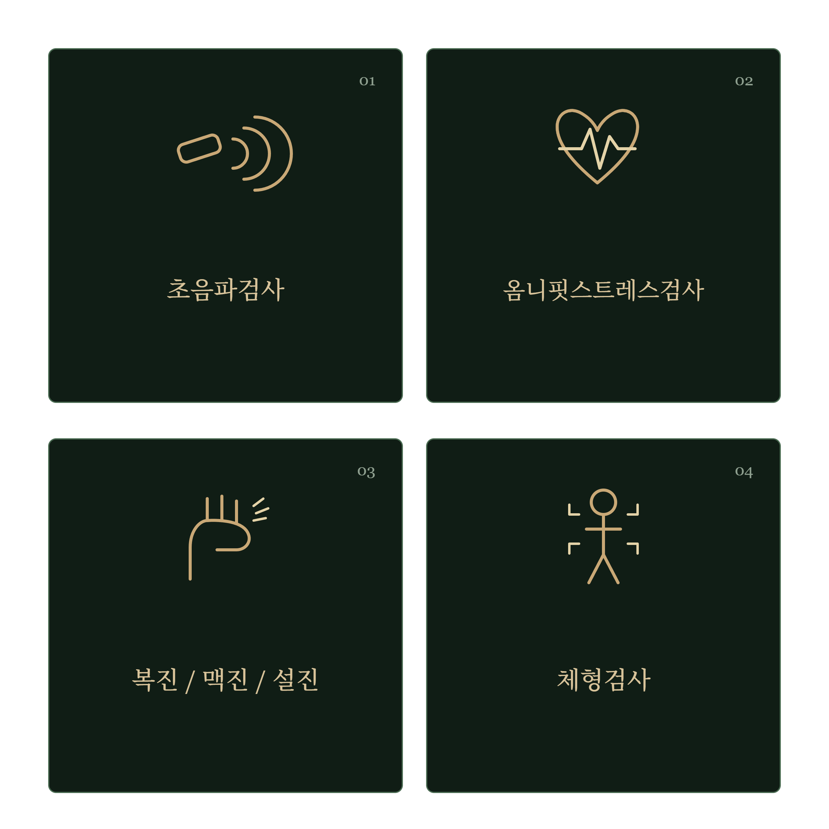 진료 과정
